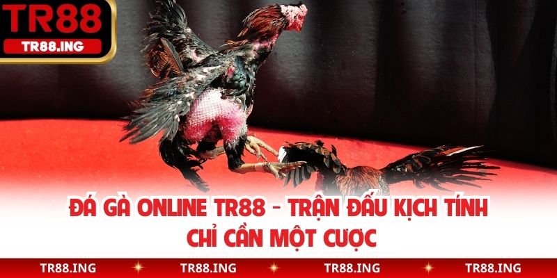 Đá gà online TR88